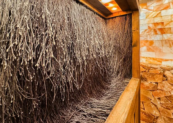 Sandy 1 Sanddunes Sauna Gym Kids Salt Cave Daire Dziwnów